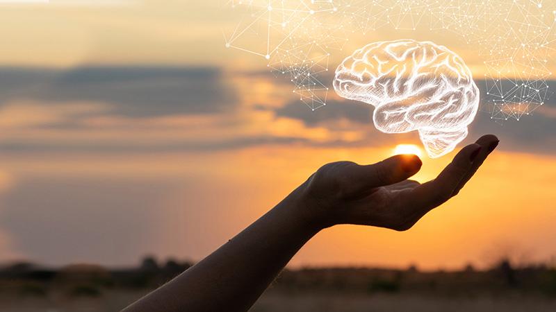 Close up of a hand appearing to hold an illustration of a brain
